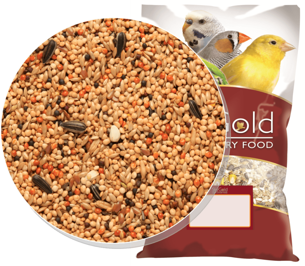 Parrot Food