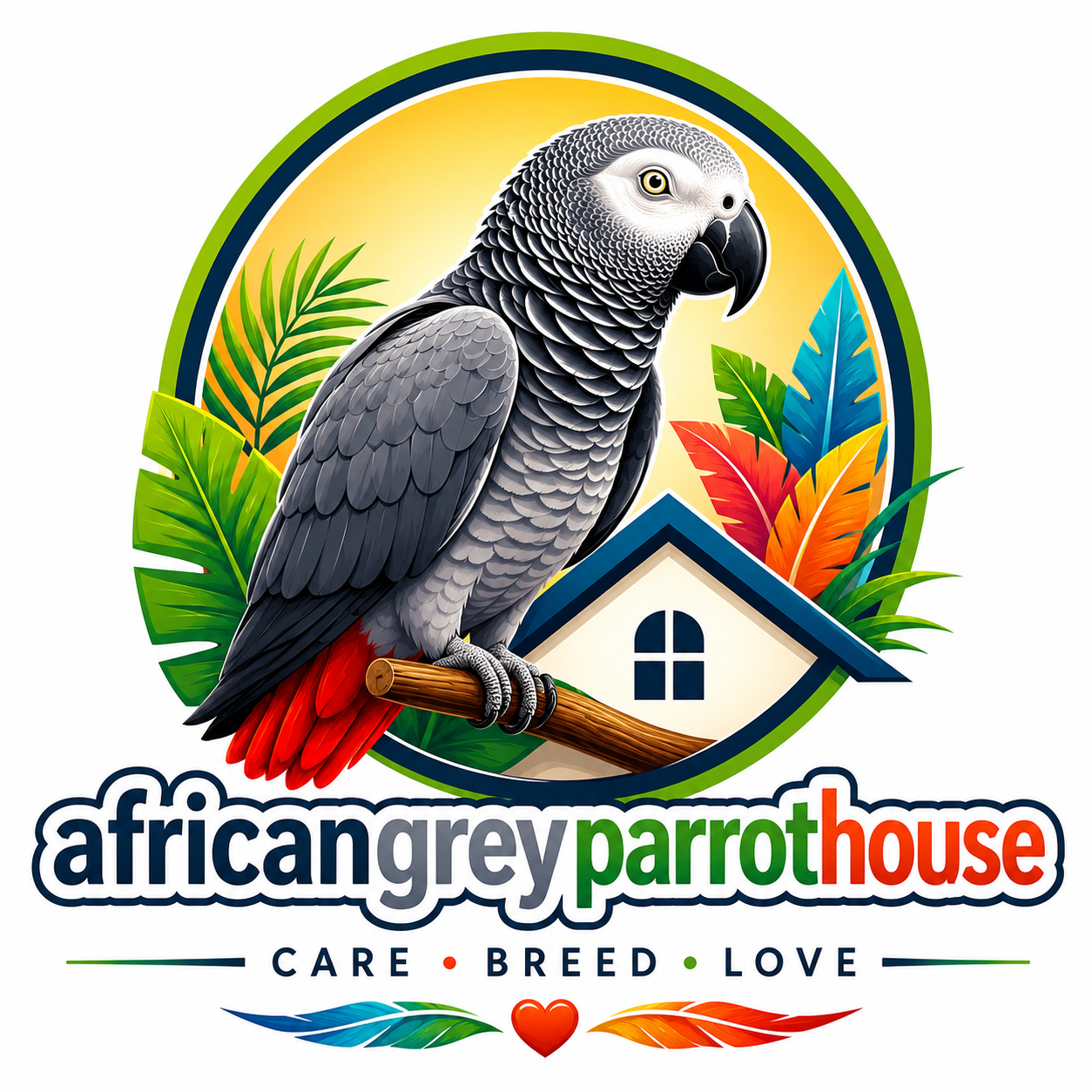 AFRICAN GREY PARROTS